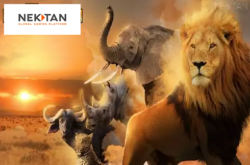 Big 5 Safari